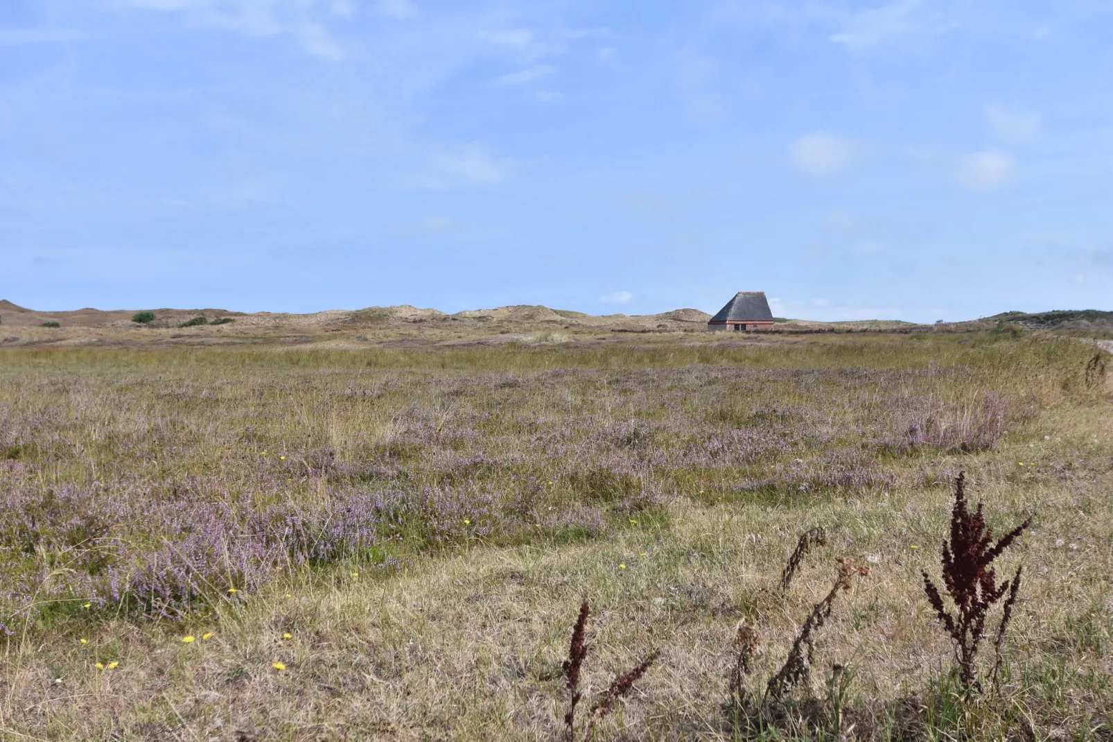 Bungalow Roggesloot A-8a-Gebiete Sommer 20 km