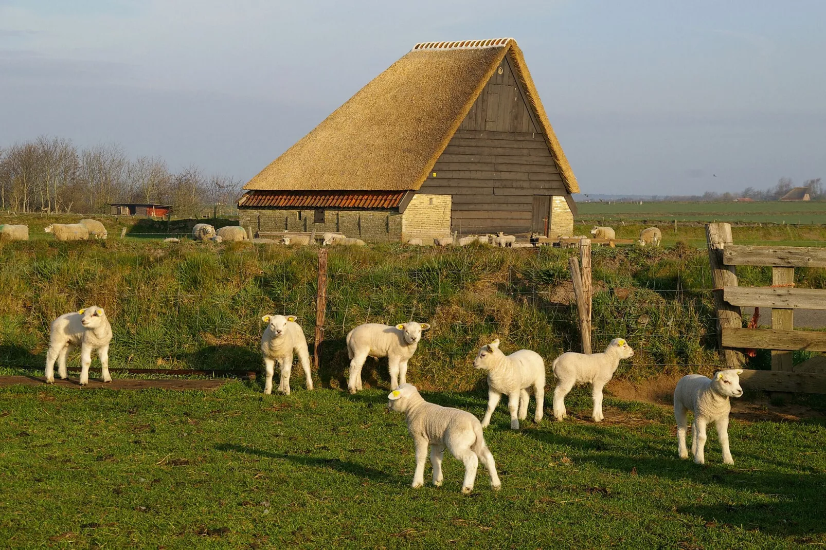 Bungalow Roggesloot A-8a-Gebiete Sommer 20 km