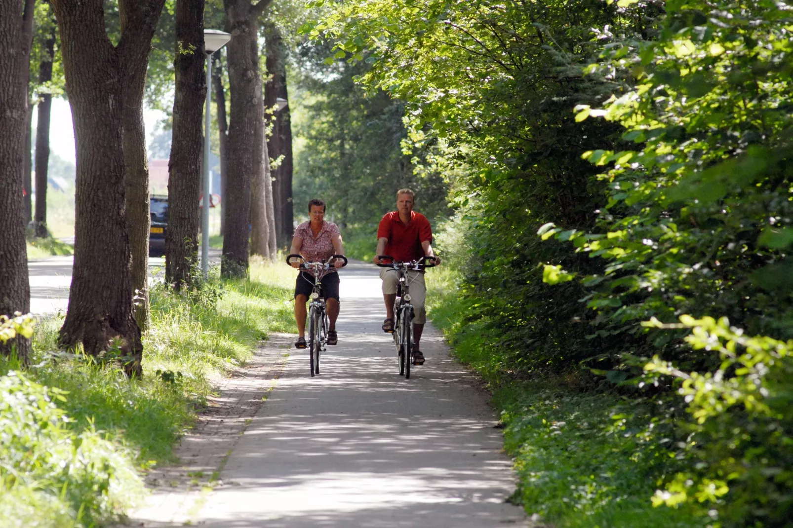 Het Drentse Wold 5-Areas summer 5km