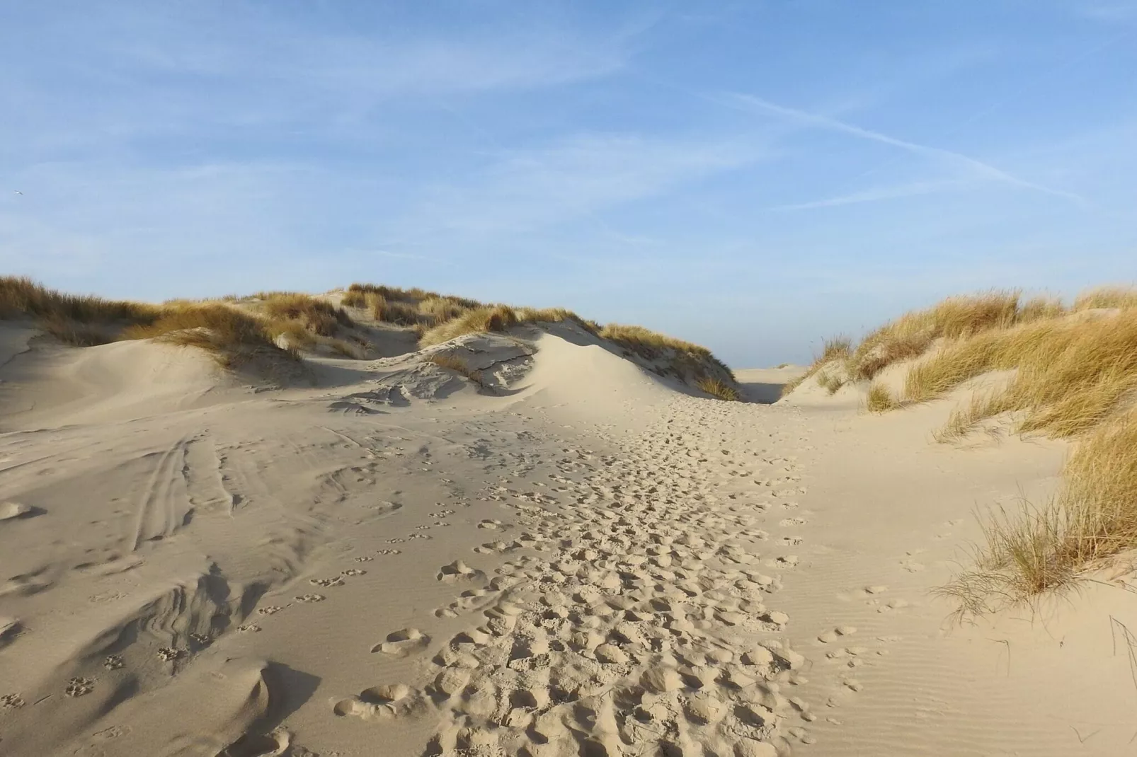 Vakantiepark 't Eibernest Texel 8-Zones d'été à 5 km