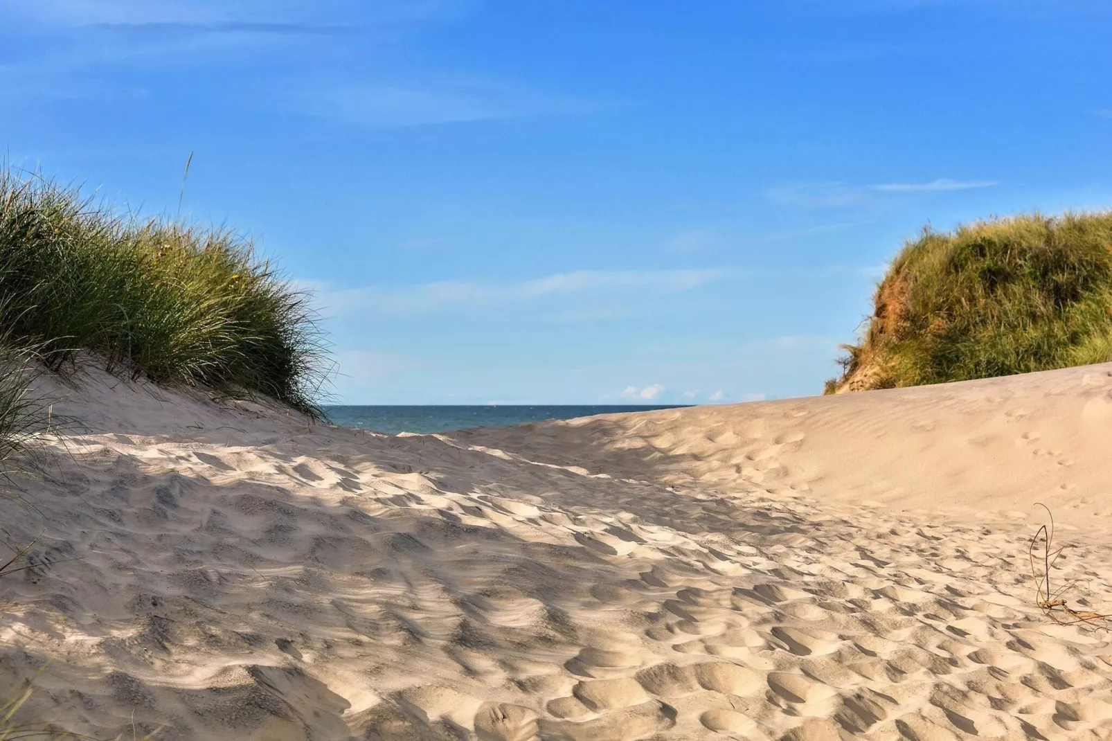 Vakantiepark 't Eibernest Texel 8-Zones d'été à 5 km
