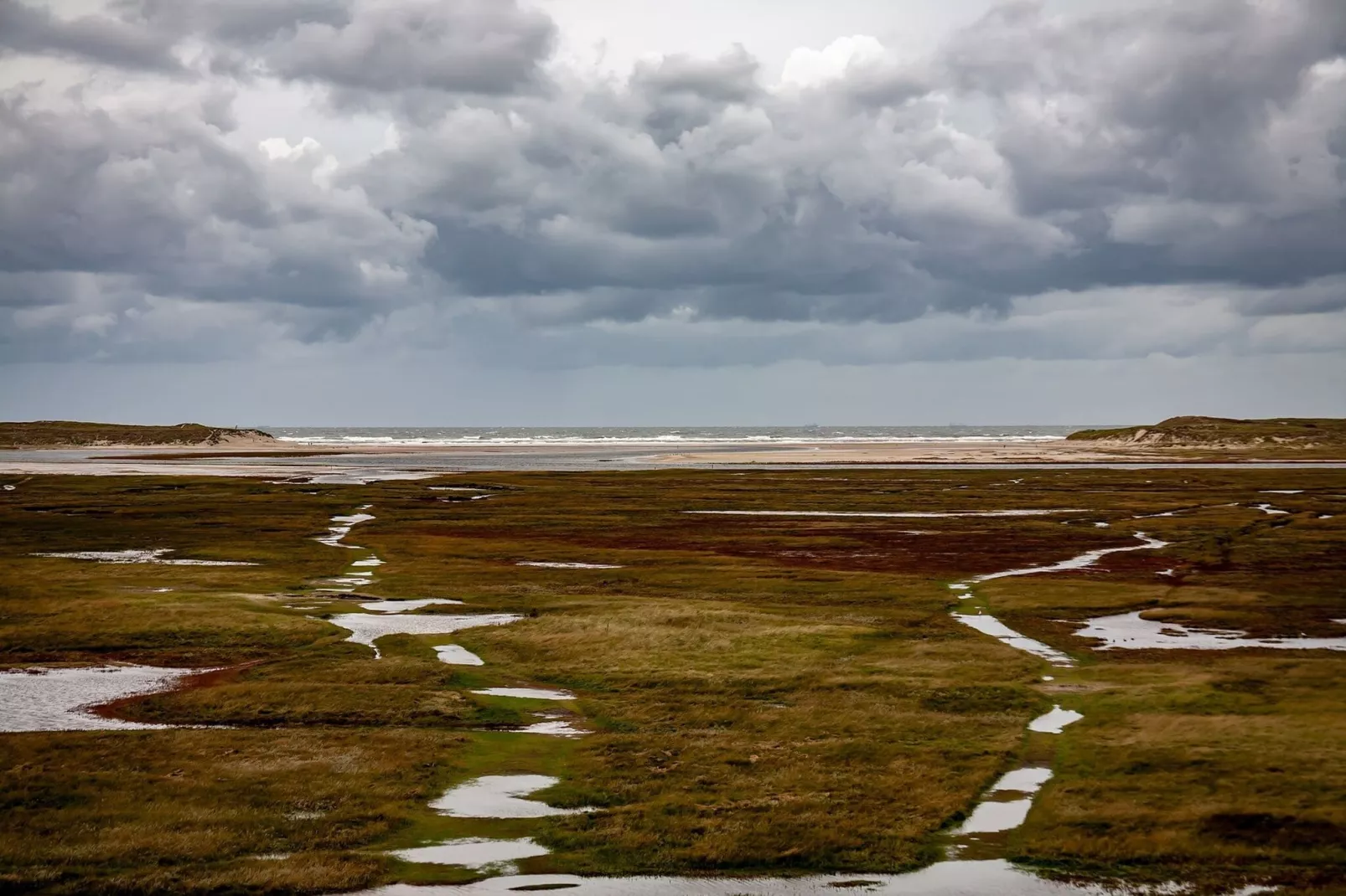 Vakantiepark 't Eibernest Texel 8-Zones d'été à 5 km