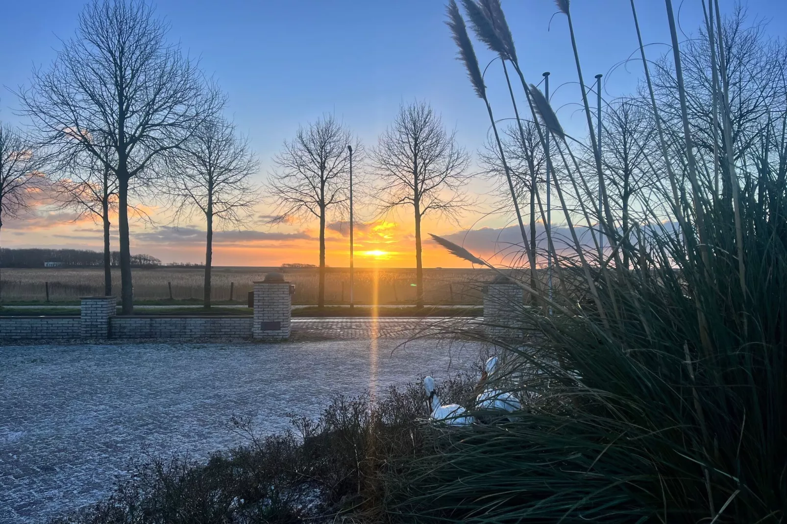 Vakantiepark 't Eibernest Texel 8-Ambiance