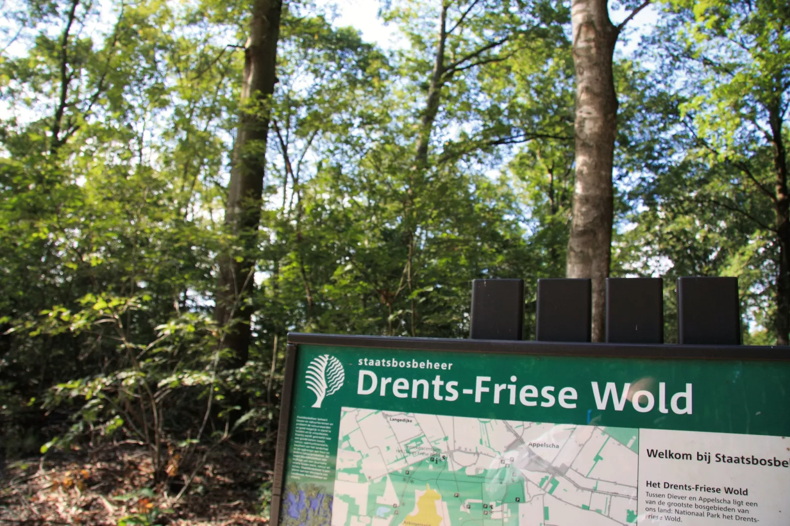 Het Drentse Wold 5-Atmosphere