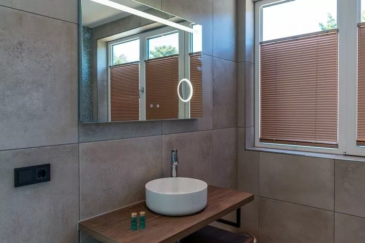 Bruine Kiekendief-Bathroom