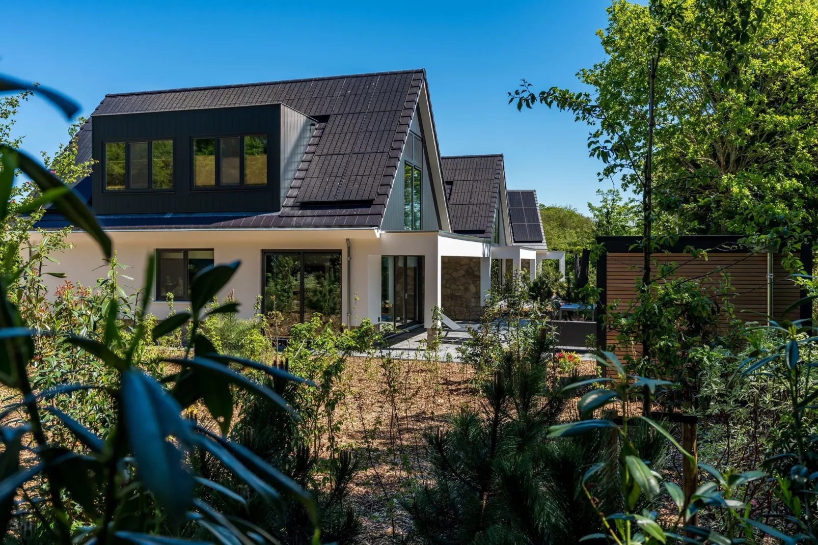 Bruine Kiekendief-Exterior summer