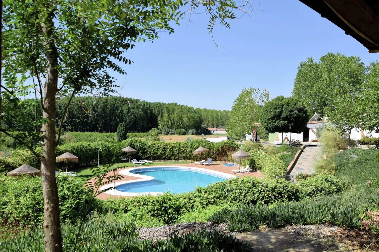 Cueva 1 bedroom-Pool