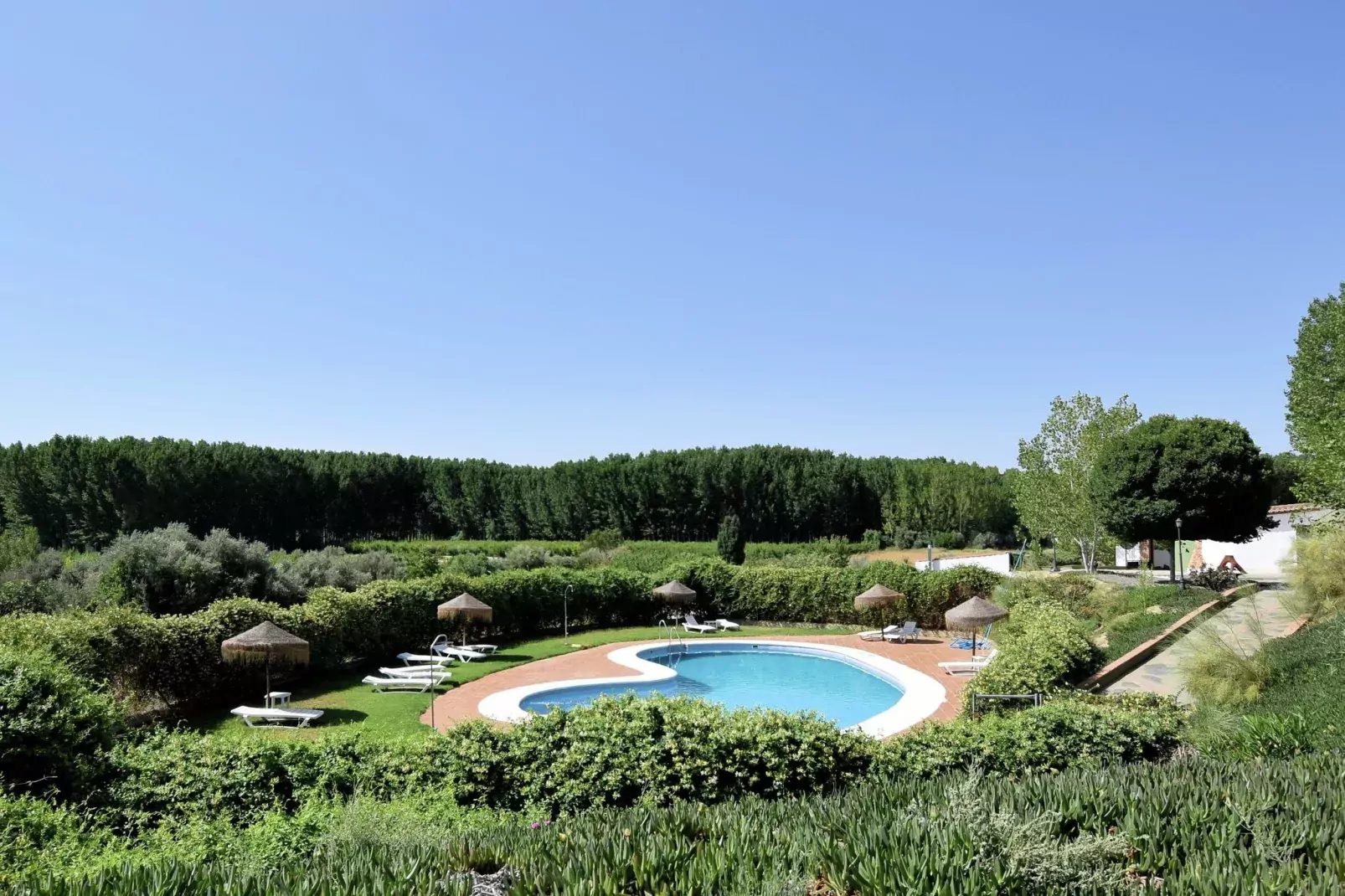 Cueva 1 bedroom-Pool