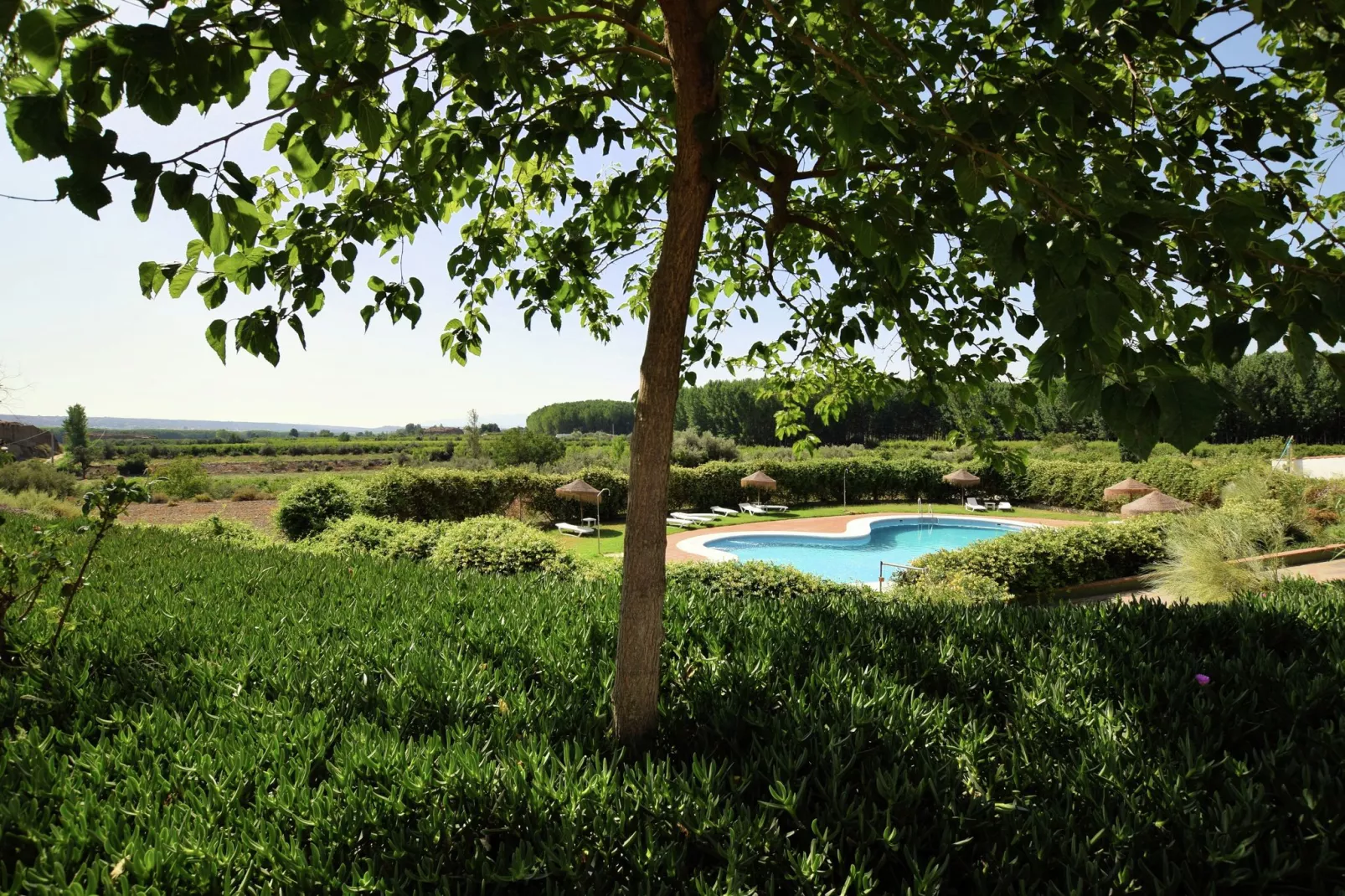 Cueva 1 bedroom-View summer