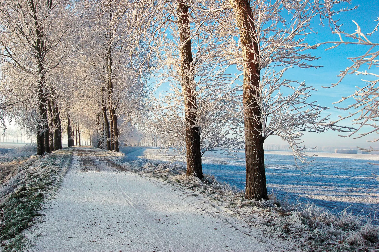 Aquadelta 9-Area winter 5km