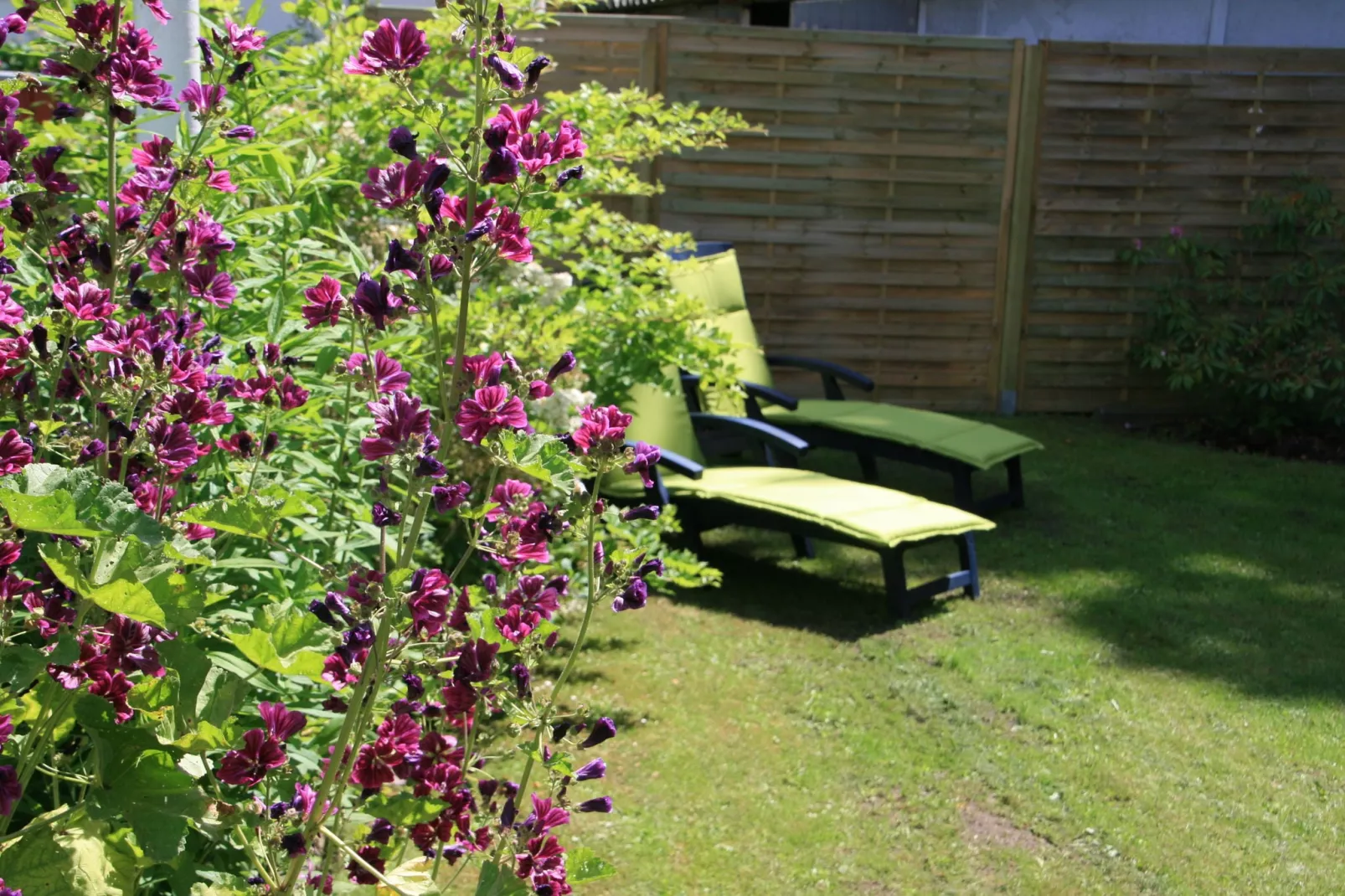 Stadthaus Klütz 1-Gardens summer