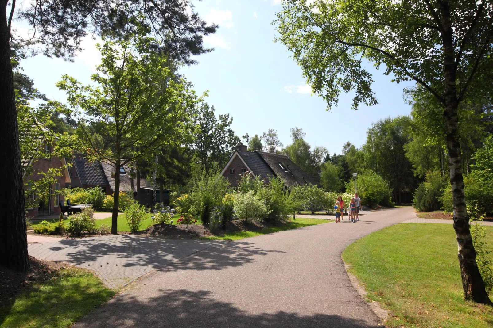 Landgoed Het Grote Zand 20-Areas summer 1km