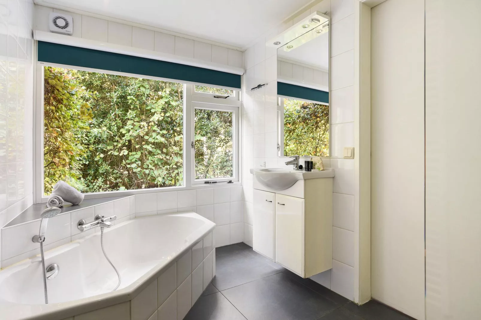 Waterpark De Bloemert 3-Bathroom