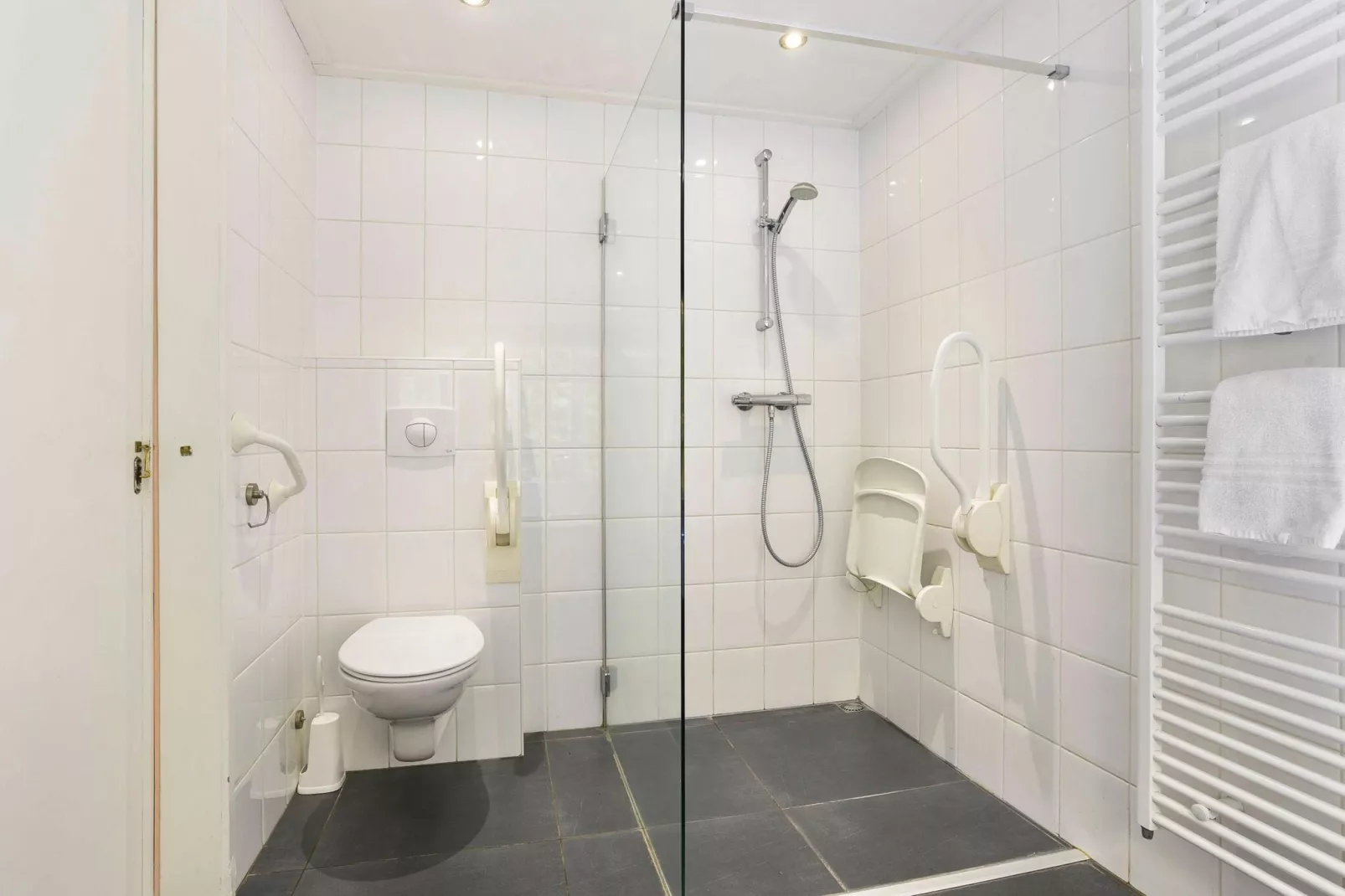 Waterpark De Bloemert 3-Bathroom
