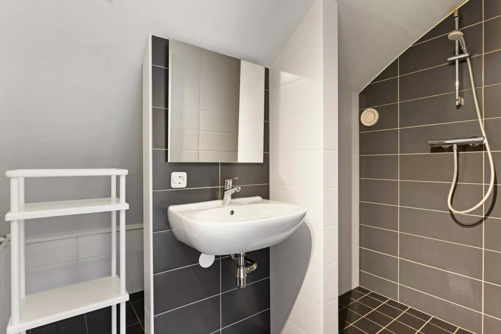 Waterpark De Bloemert 5-Bathroom