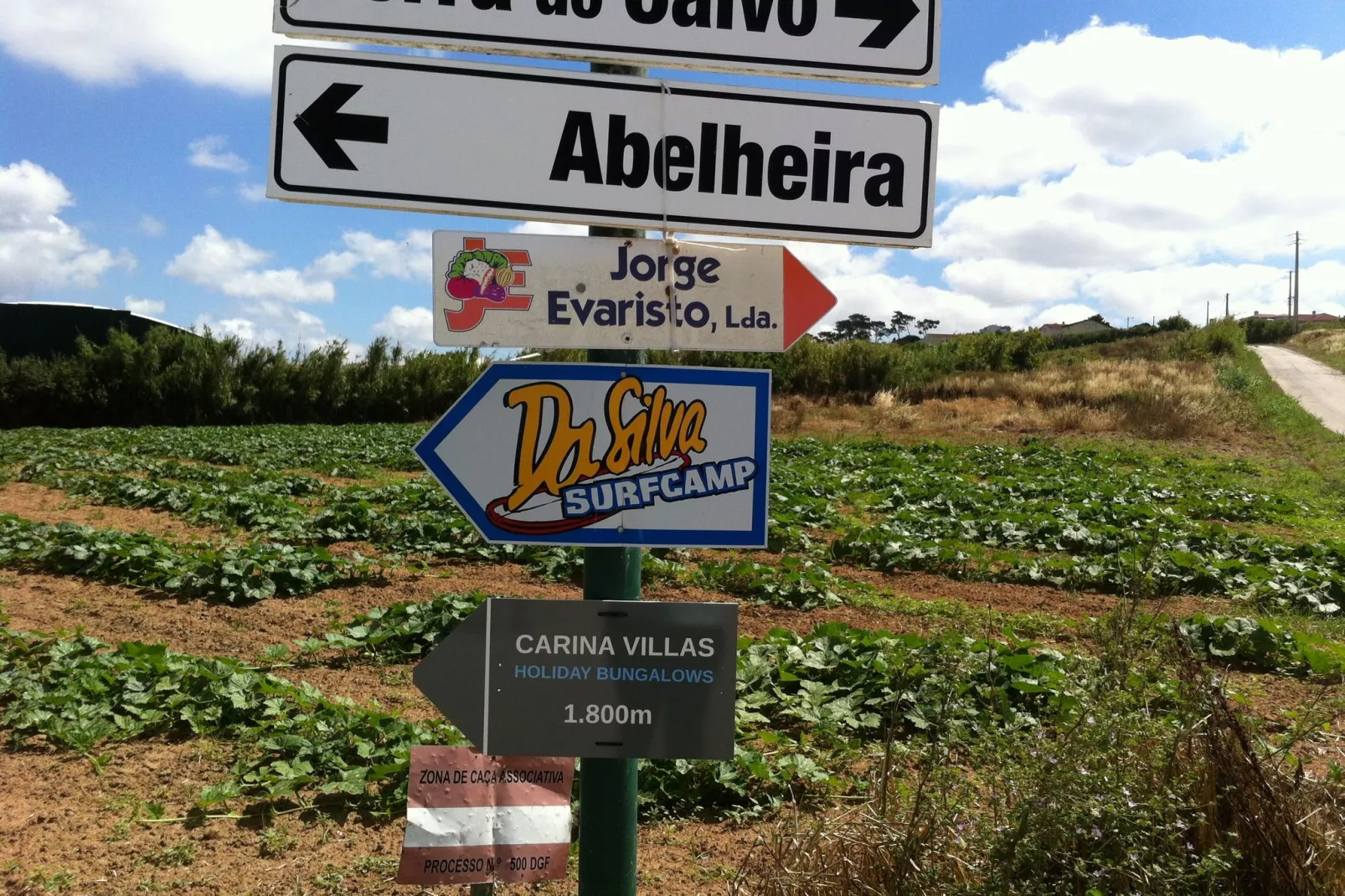 Carina Villas-Areas summer 1km