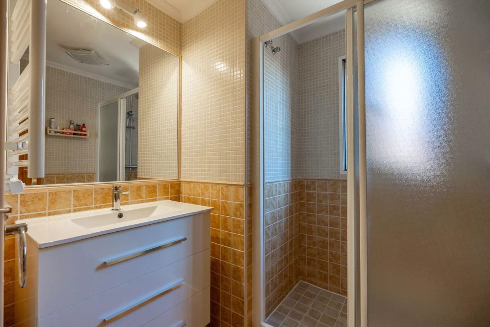 Villa Raprodet-Salle de bain