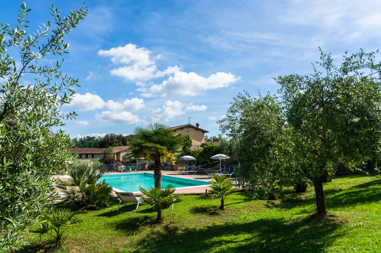 Il Mandorlo-Pool