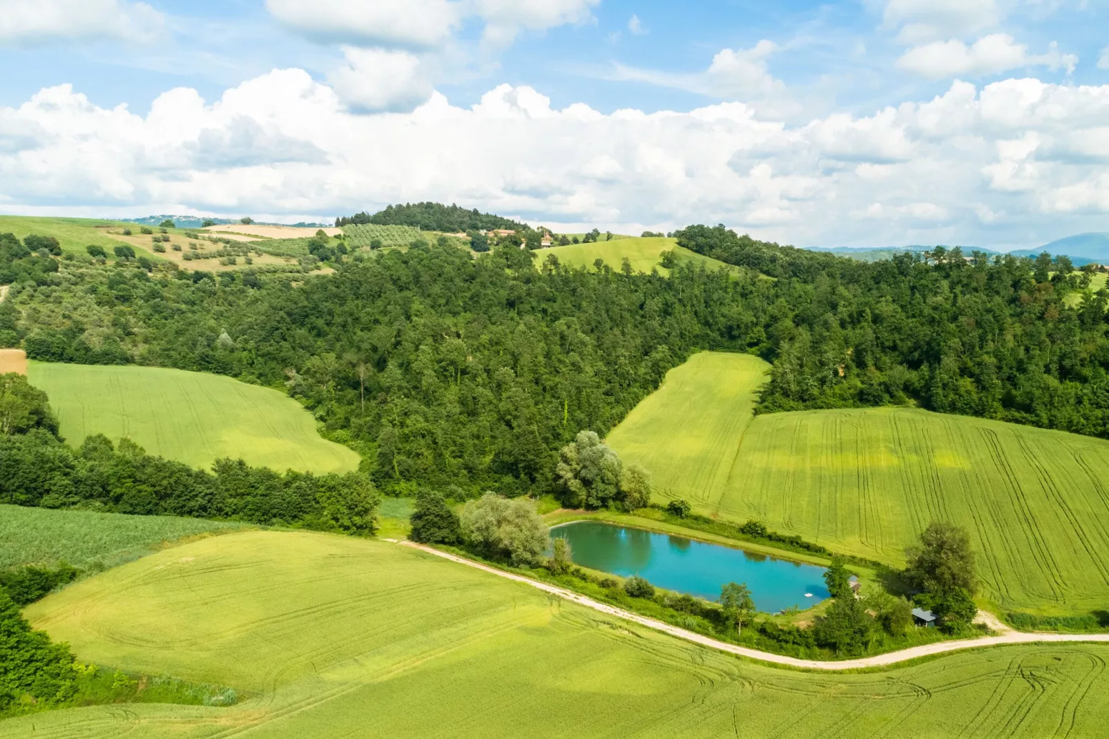 Il Mandorlo-Gardens summer