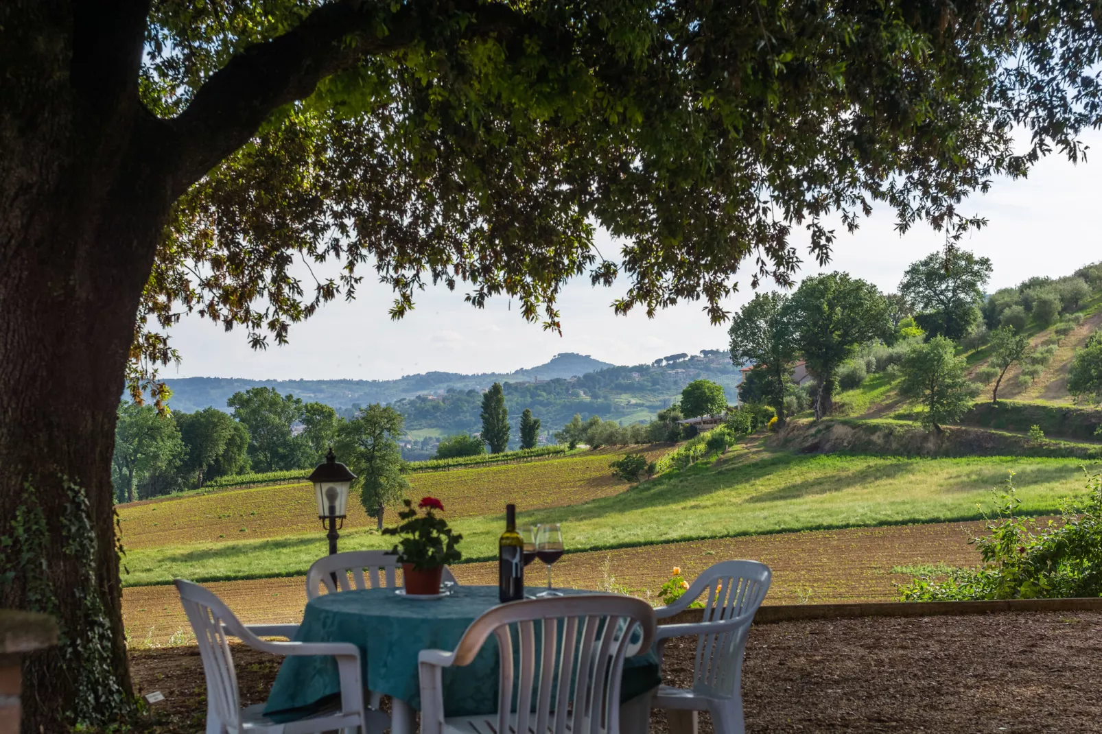 Il Mandorlo-View summer