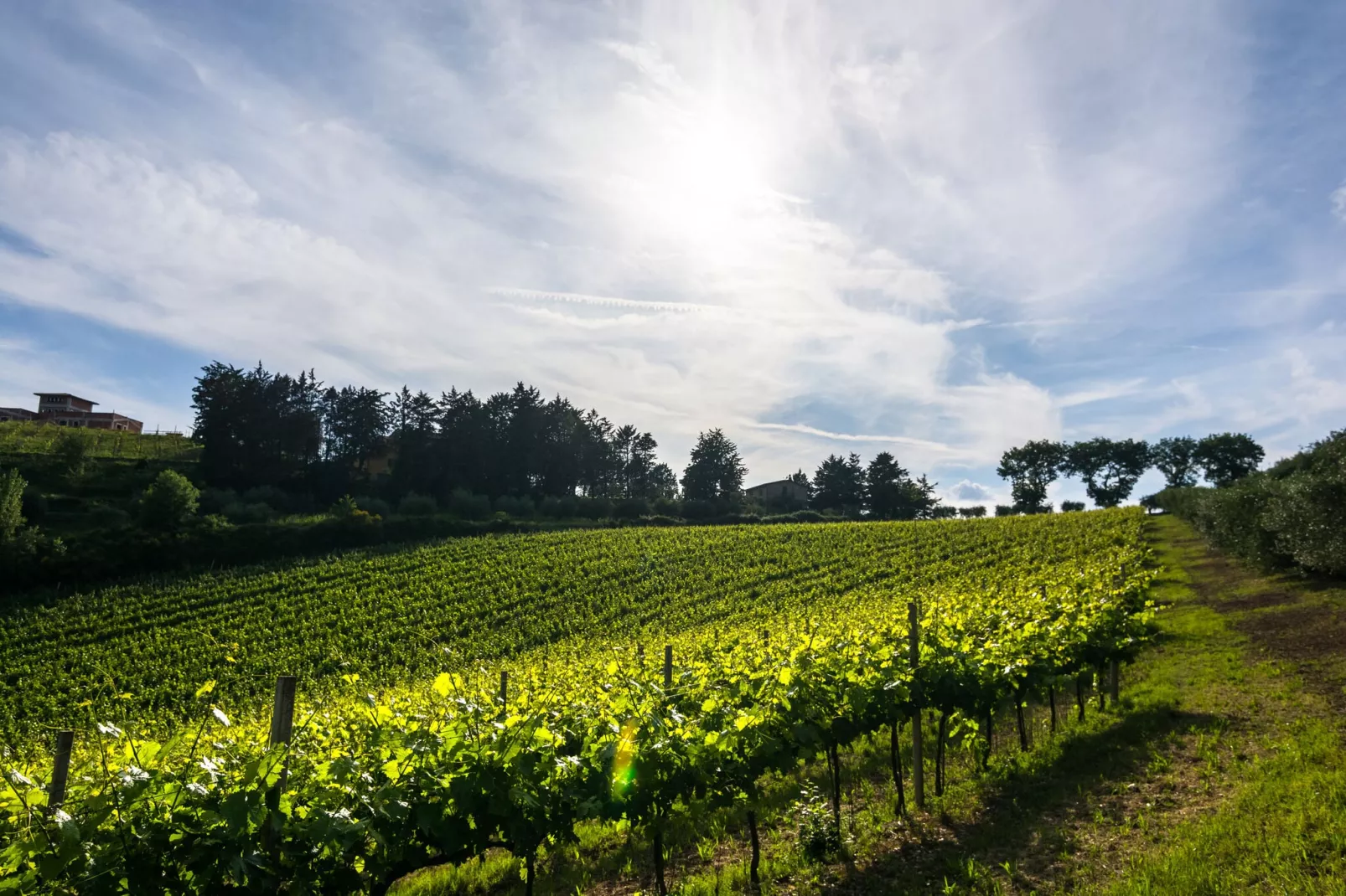 Il Mandorlo-Areas summer 1km
