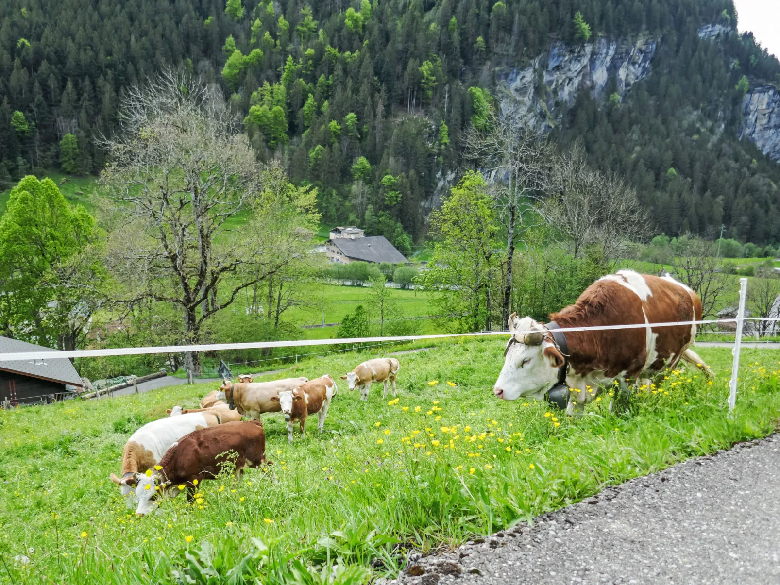 Chalet Auf dem Vogelstein-Outside