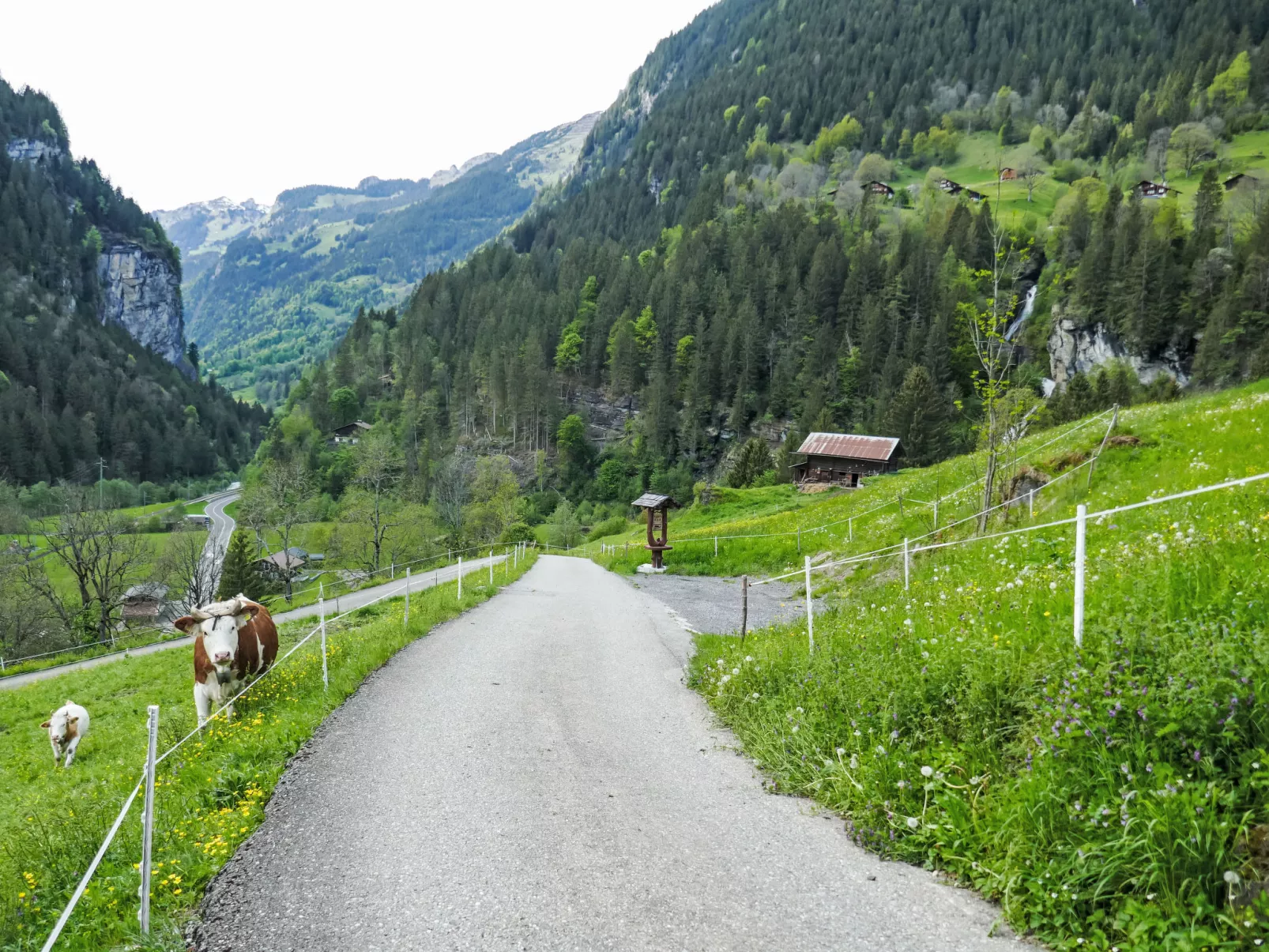 Chalet Auf dem Vogelstein-Outside