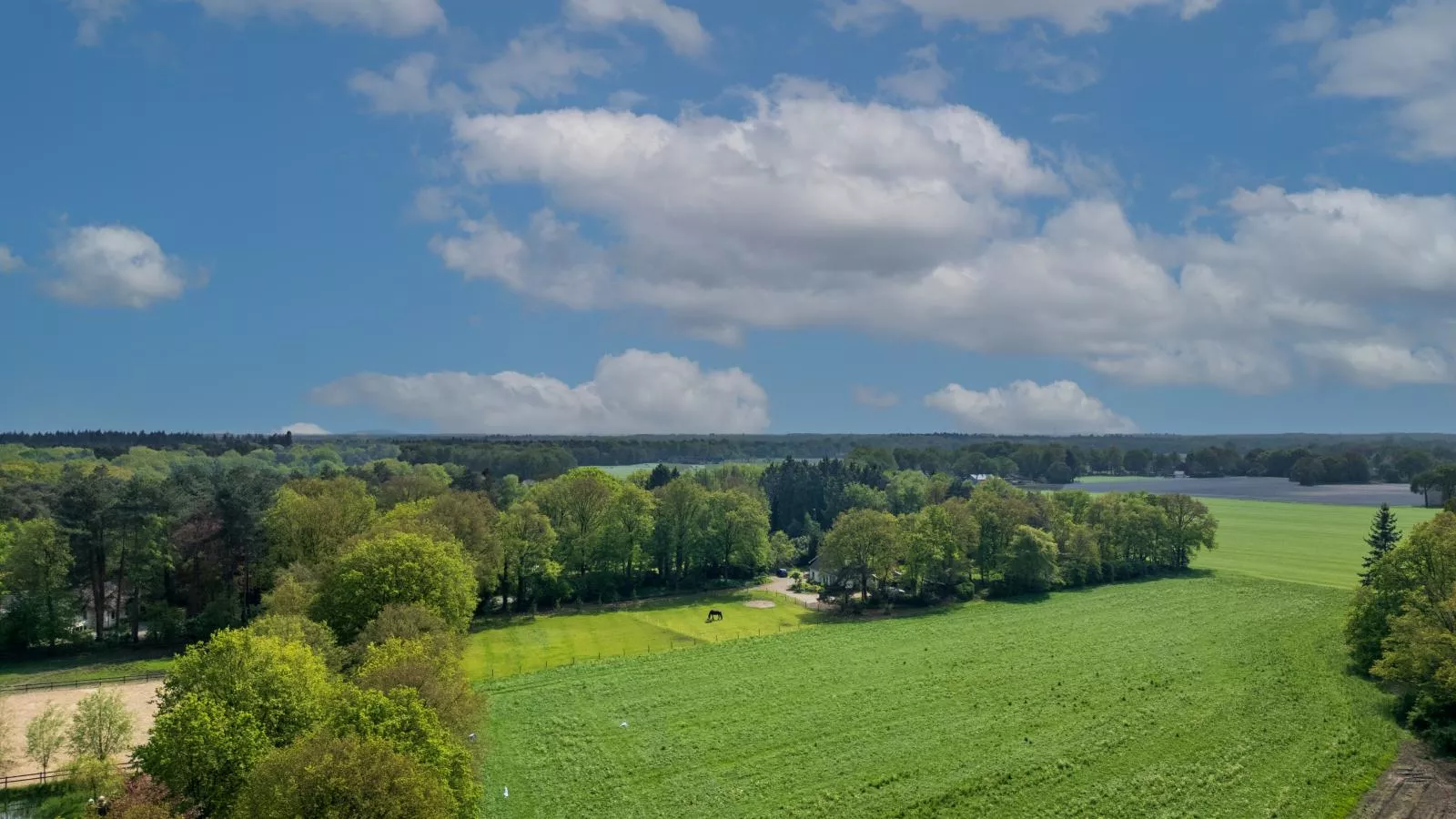 Achter de Vijf Linden-Areas summer 1km