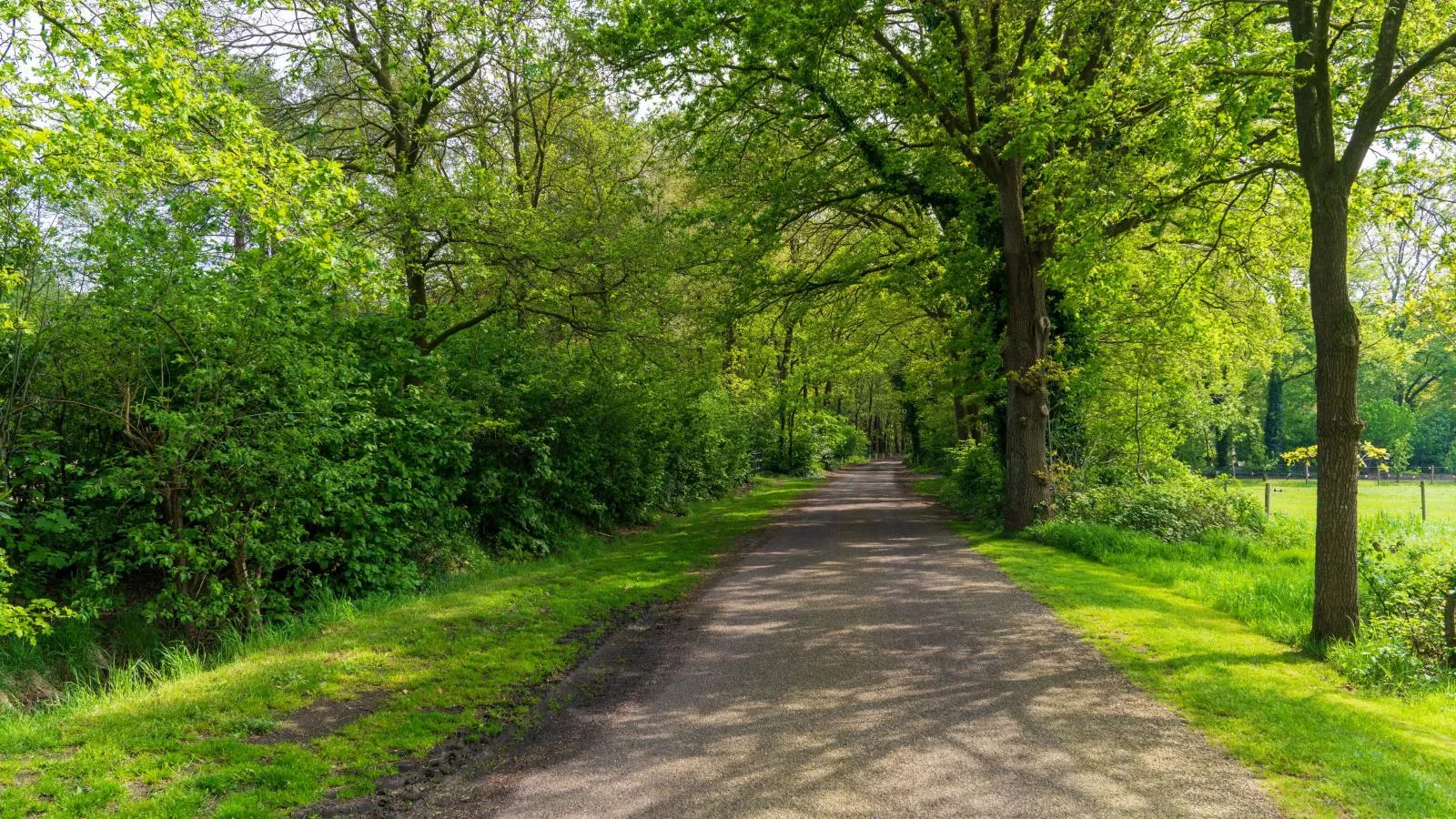 Achter de Vijf Linden-Areas summer 1km