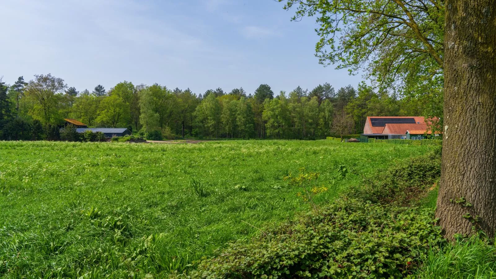 Achter de Vijf Linden-Areas summer 1km