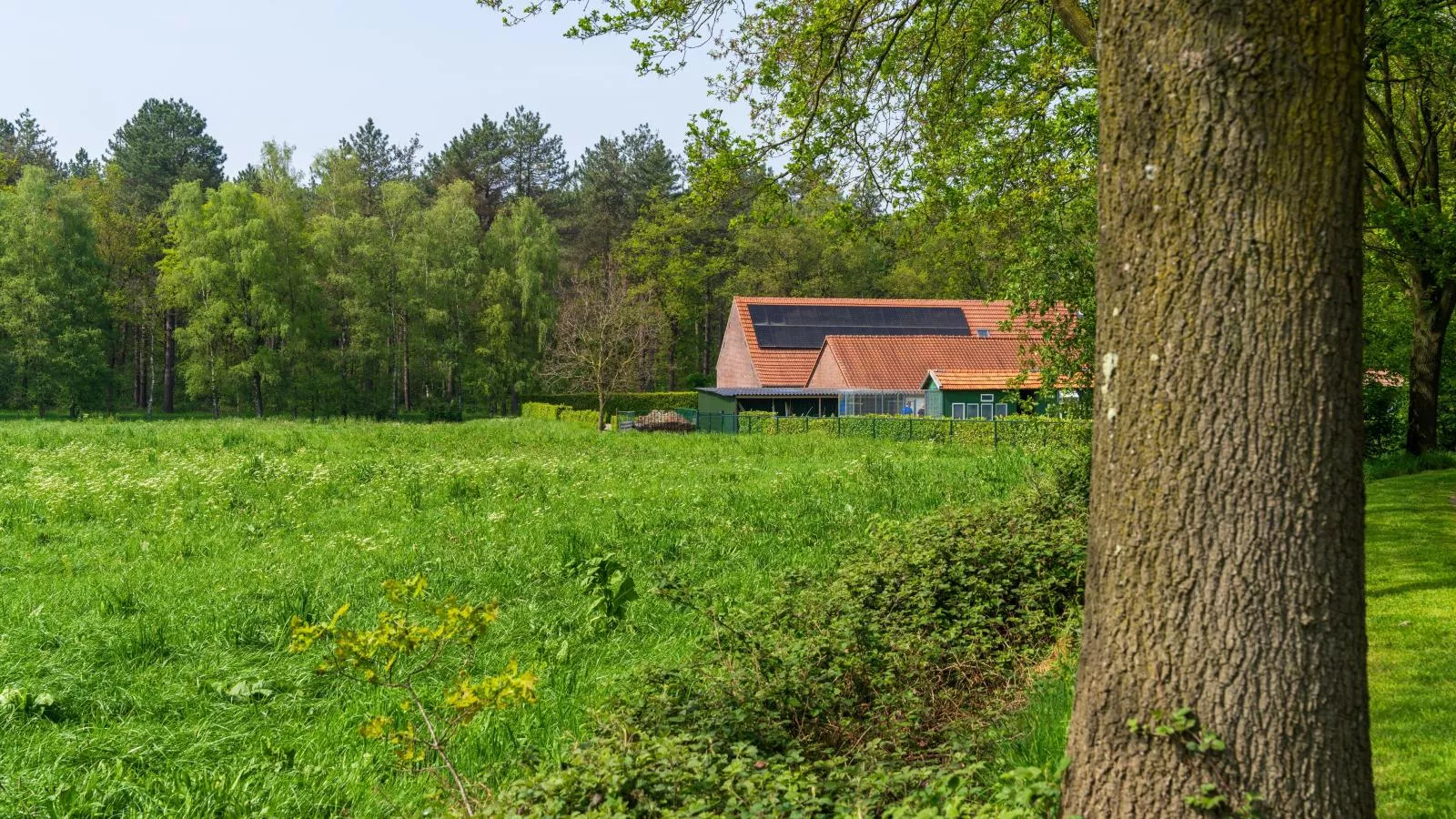 Achter de Vijf Linden-Areas summer 1km