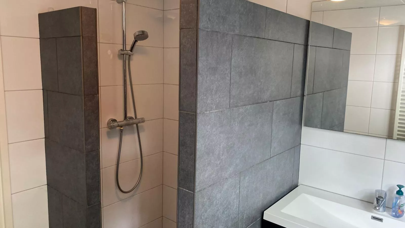 Boszicht Reutum-Bathroom