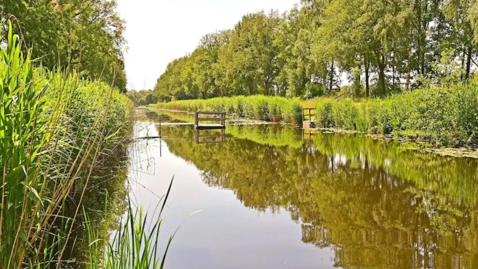 Boszicht Reutum-Areas summer 5km