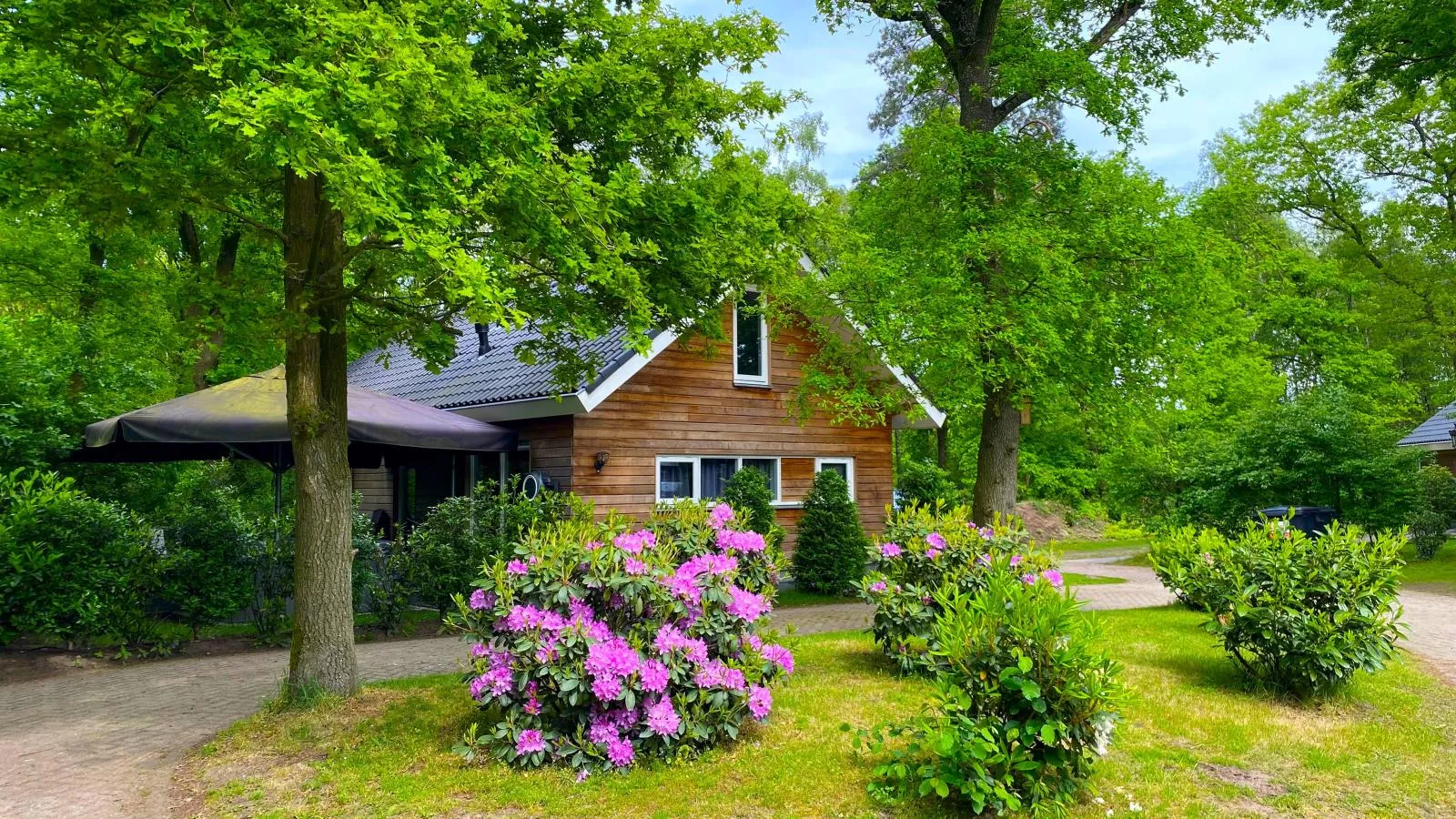 Boszicht Reutum-Areas summer 1km