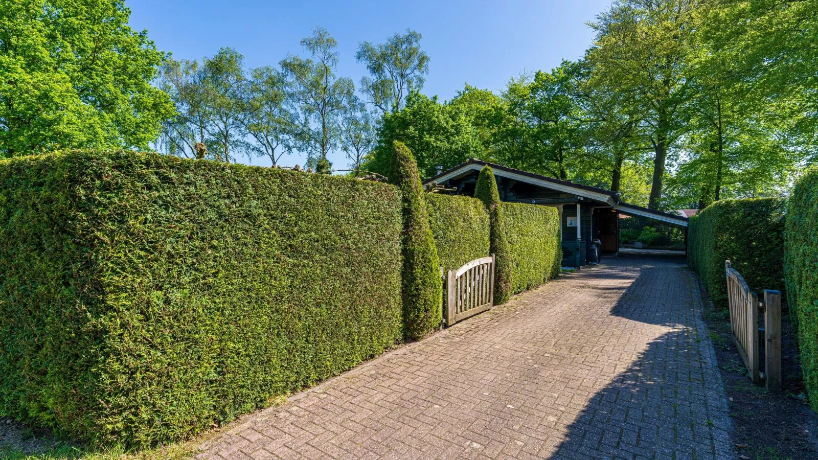 De 5 Platanen-Gardens summer