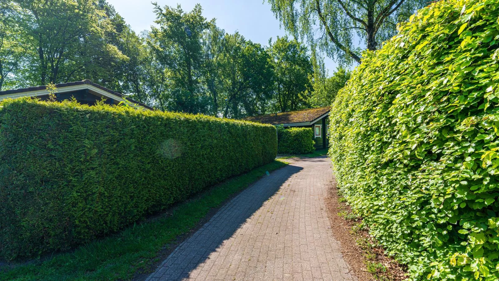 De 5 Platanen-Gardens summer