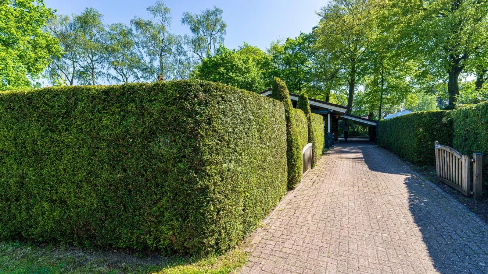 De 5 Platanen-Gardens summer