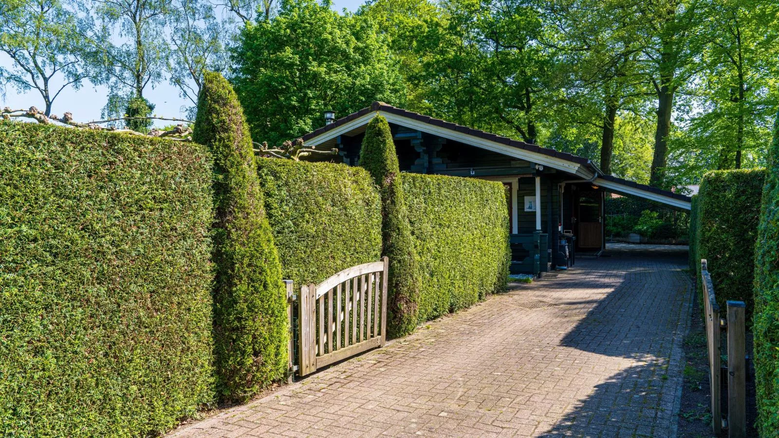 De 5 Platanen-Gardens summer