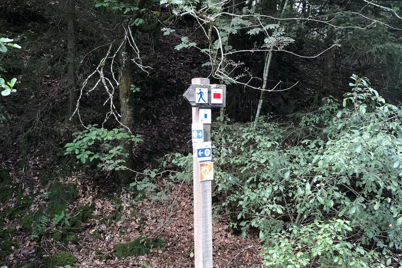 Son de l'Our-Areas summer 1km