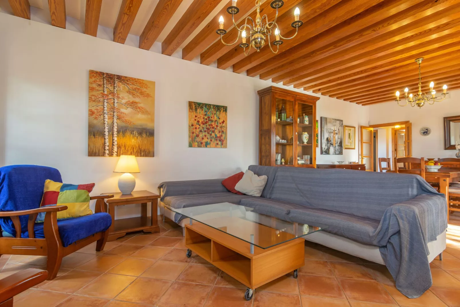 Can Pintat-Living room