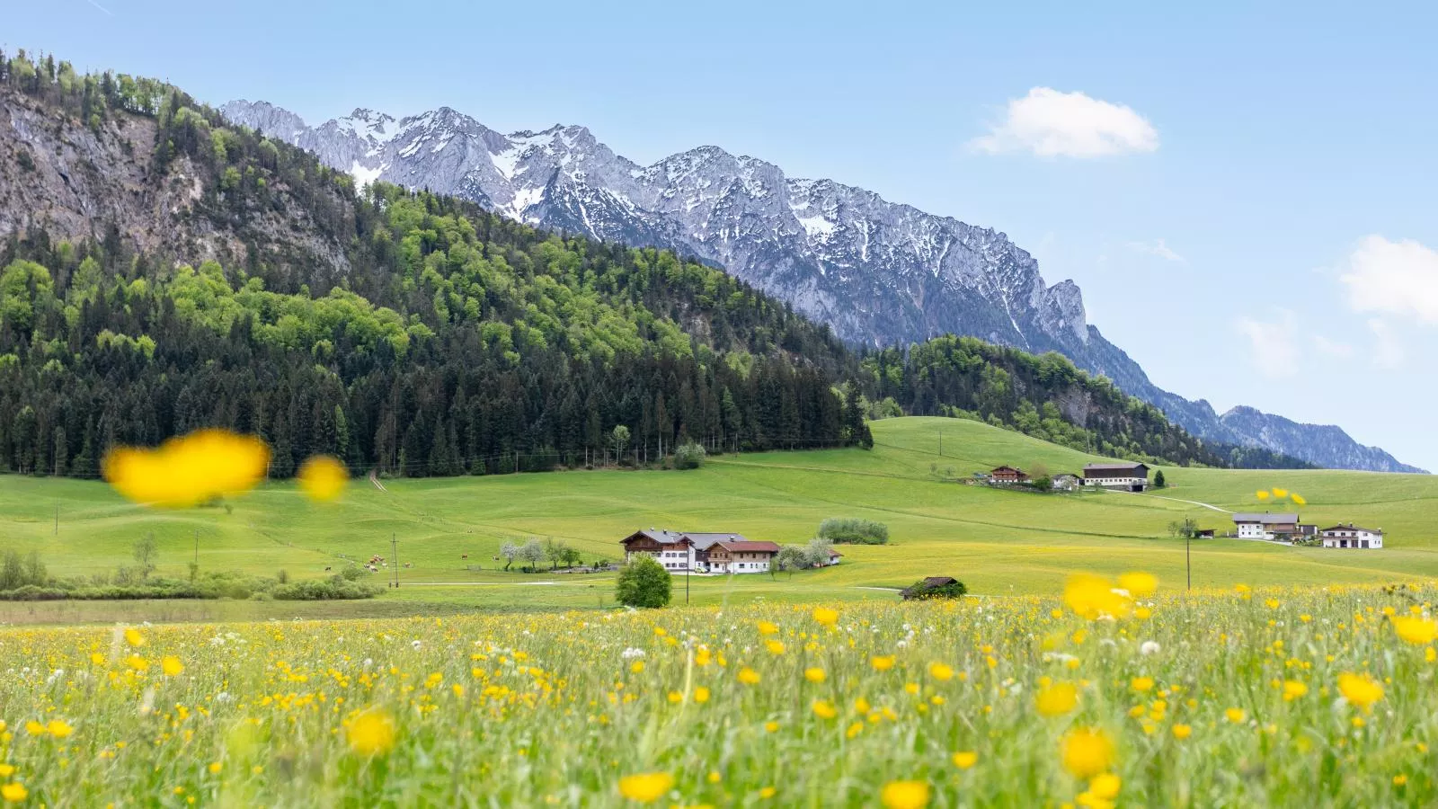Marschbachhof-Areas summer 1km