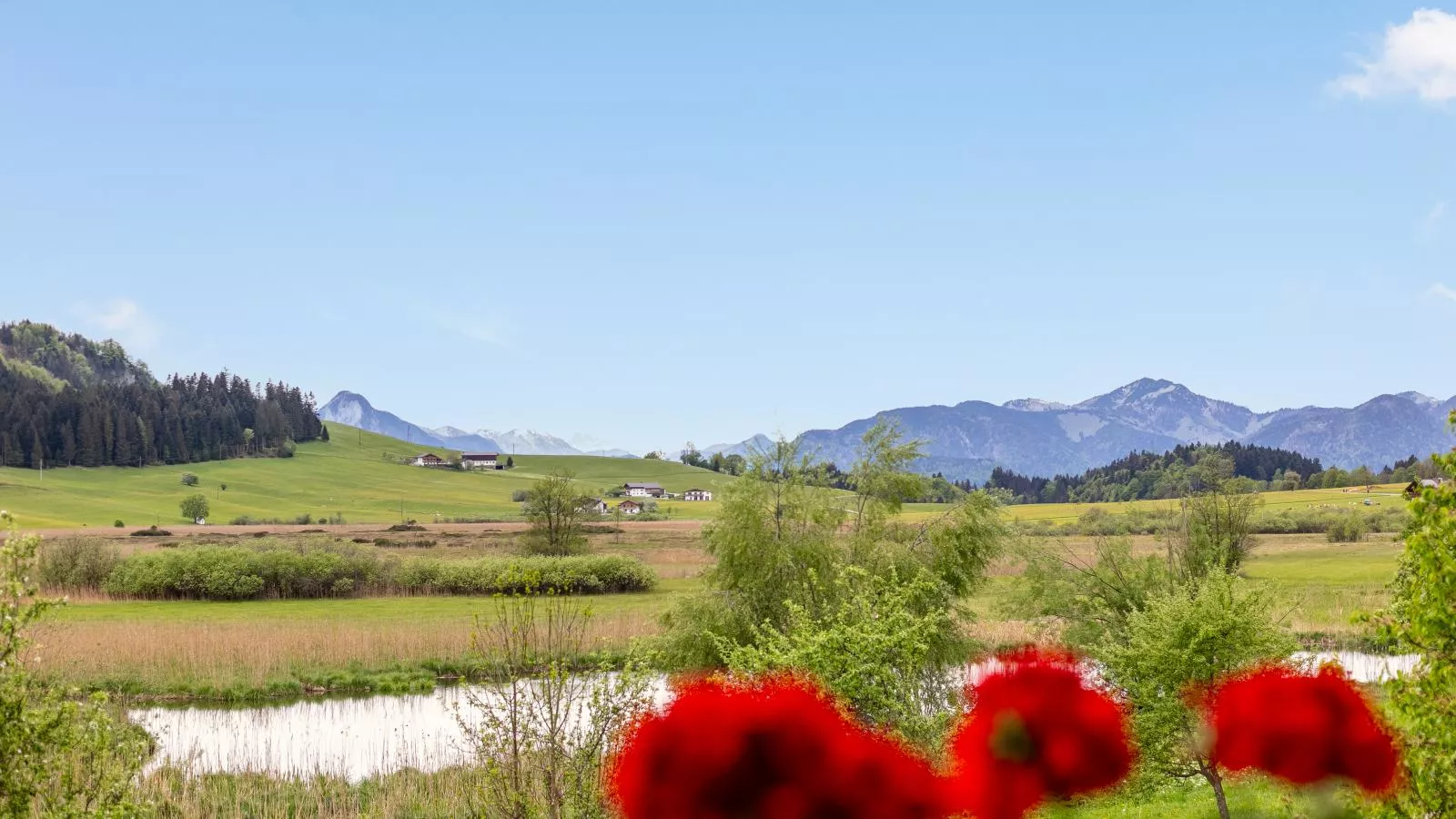 Marschbachhof-View summer