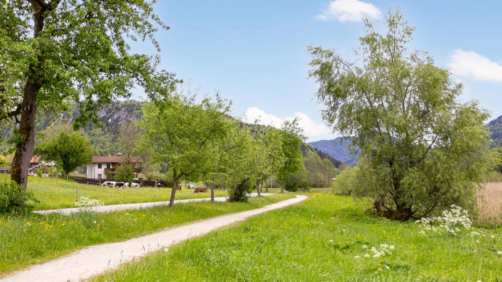 Marschbachhof-Areas summer 1km