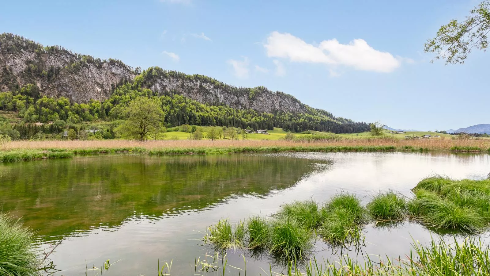 Marschbachhof-Areas summer 1km