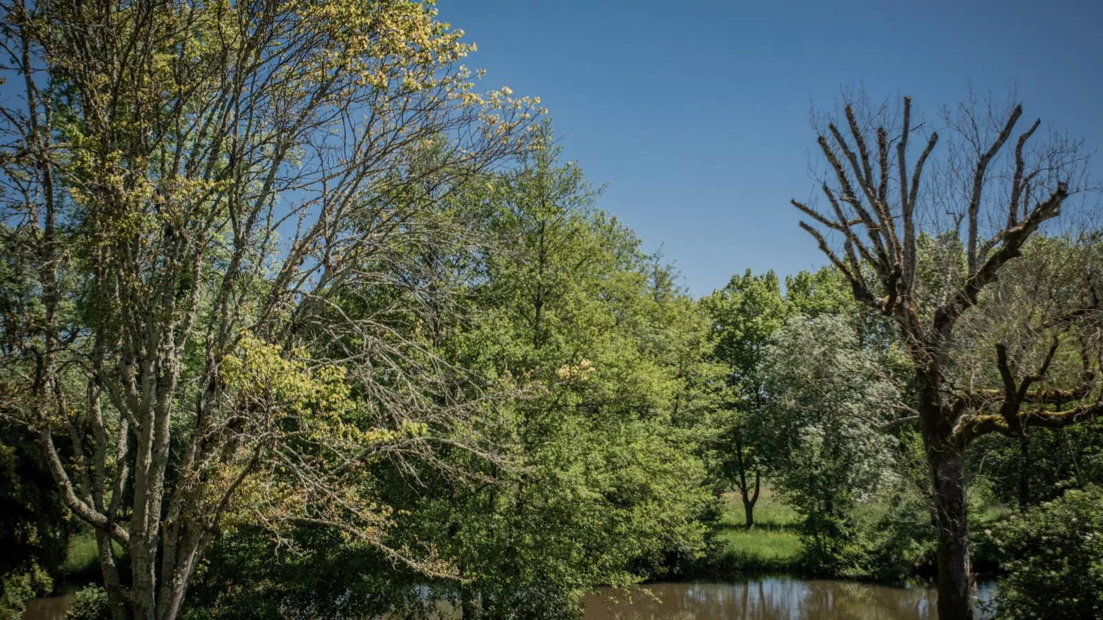 Gîte Côté Rivière-Water view