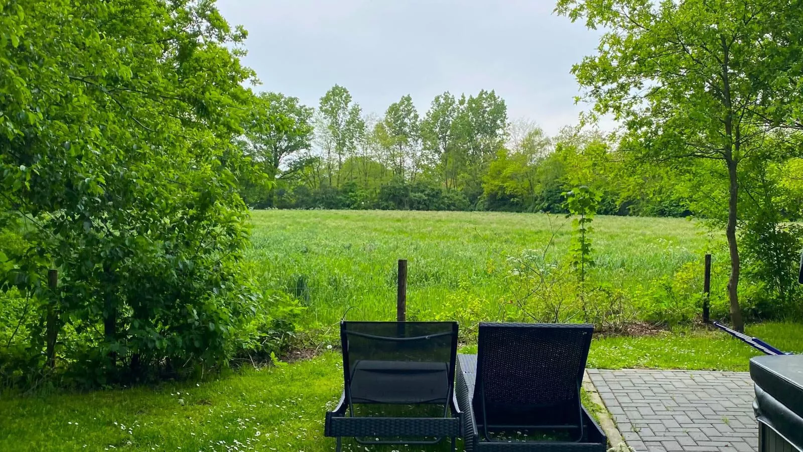 Boszicht Reutum-View summer