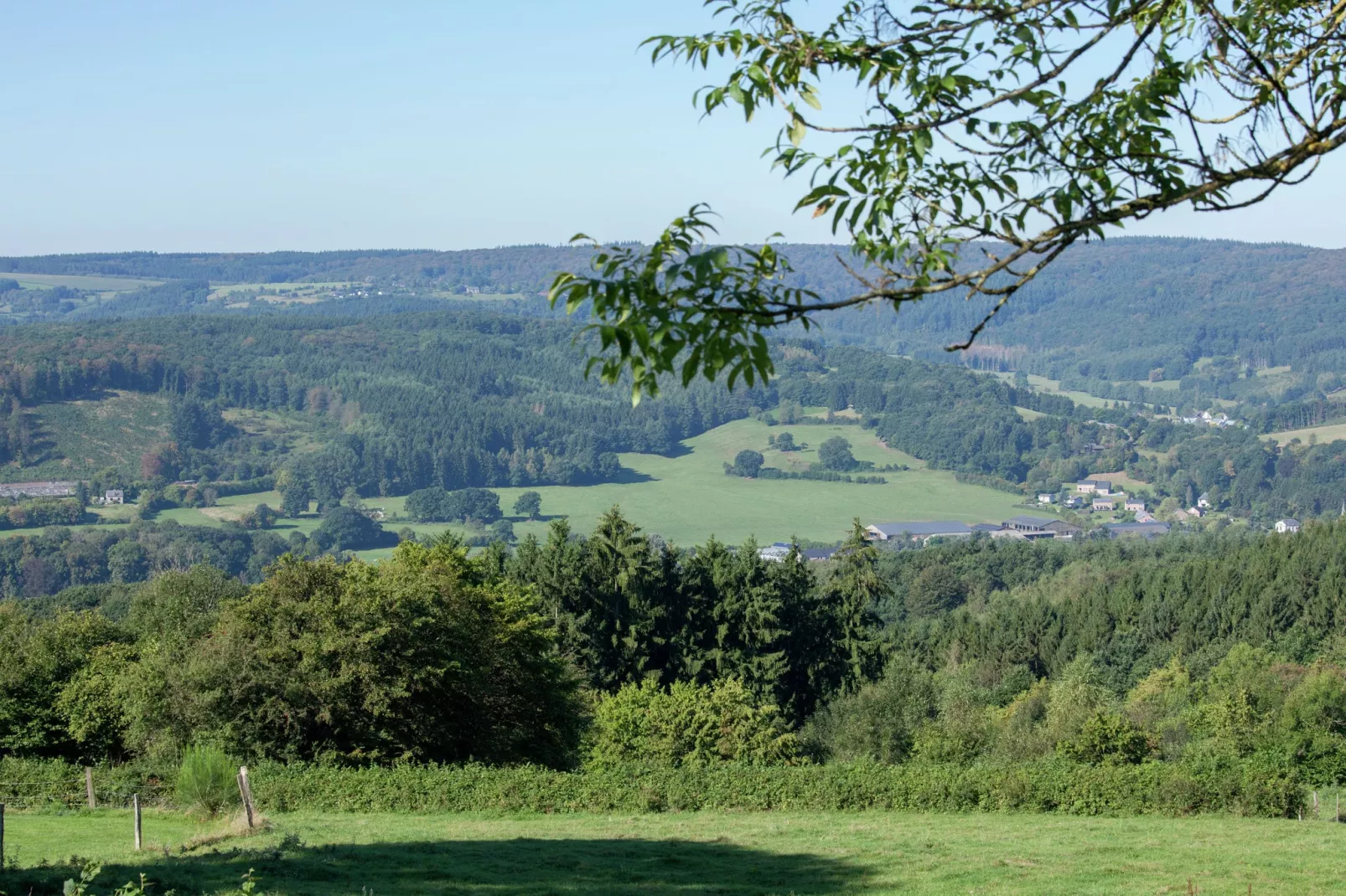 La Belle Reine-View summer