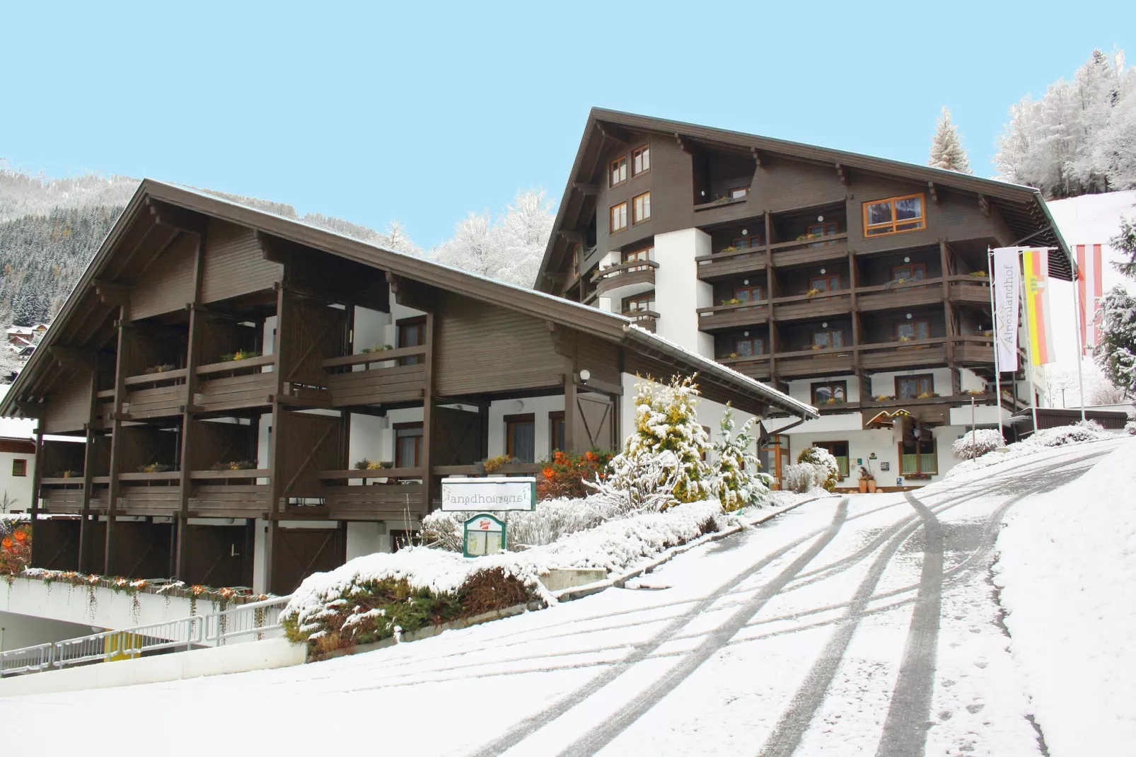 Alpenkatze-Exterior winter