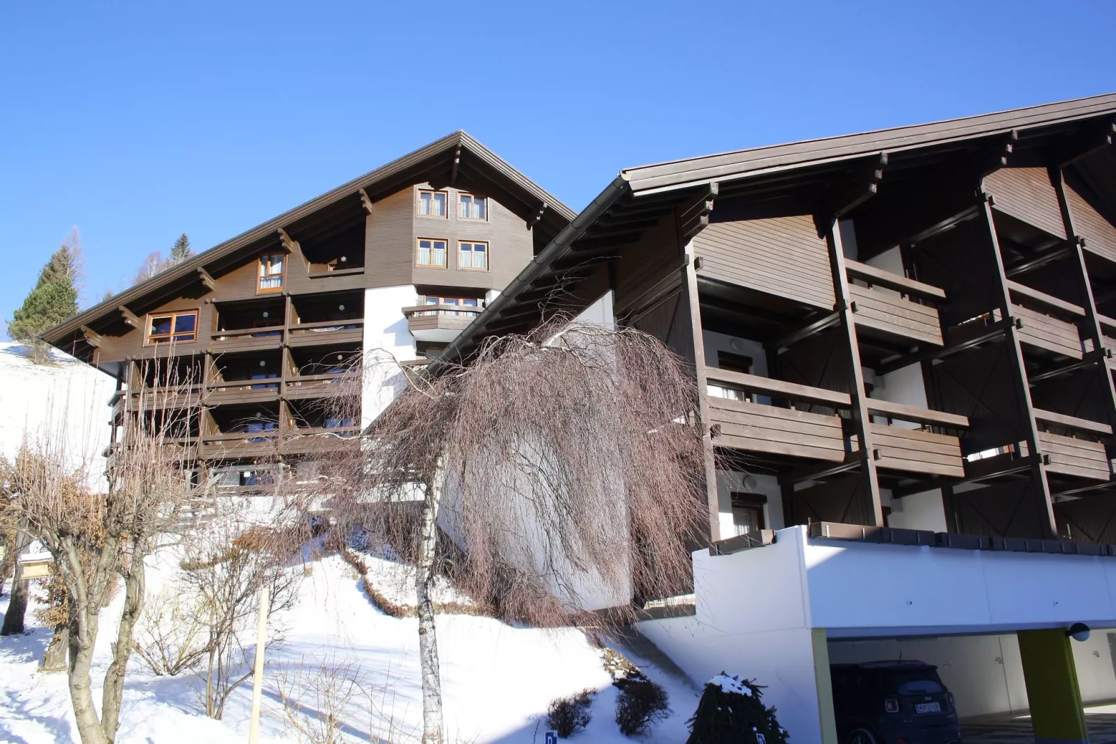 Alpenblick/Alpenhorst-Exterior winter