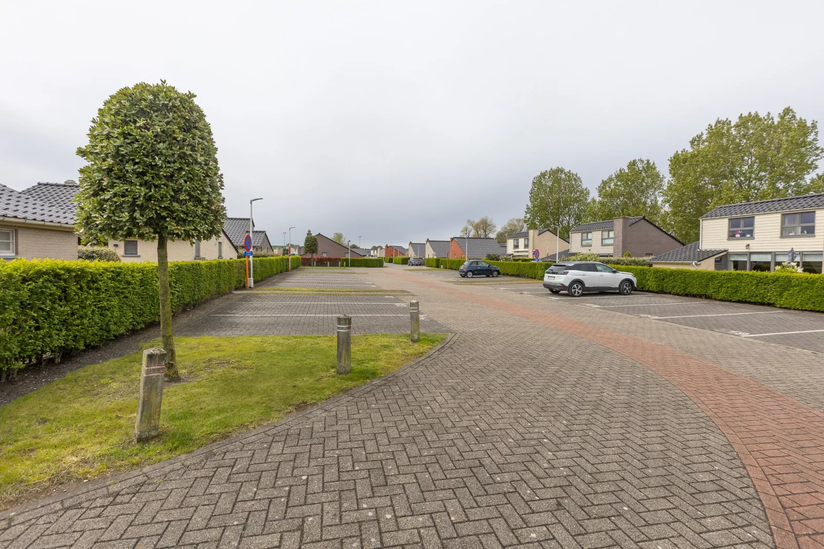Zee & Polder 31-Areas summer 1km